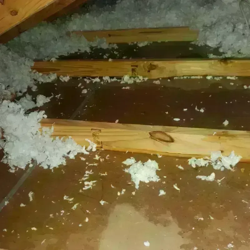 Attic Water Damage in Springfield, MO