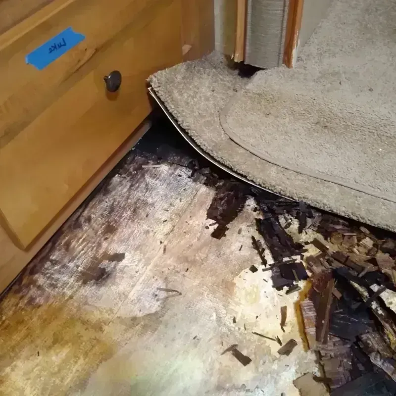 Wood Floor Water Damage in Springfield, MO